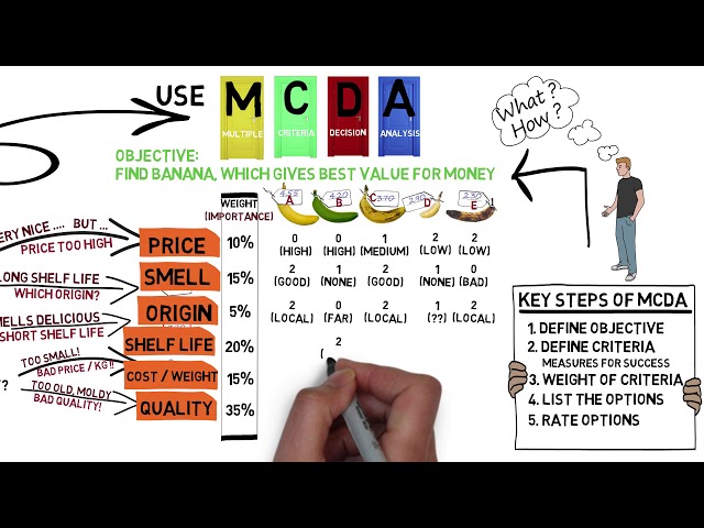 A Short Story about Multiple Criteria Decision Analysis (MCDA)