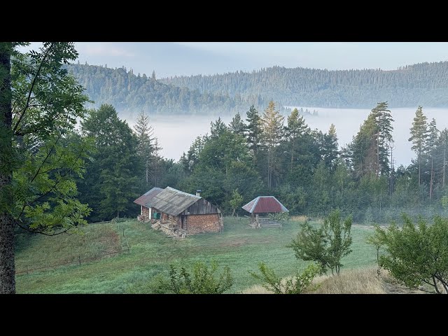 Far From Civilization: Life in My Grandfather’s Old House | Carpathians