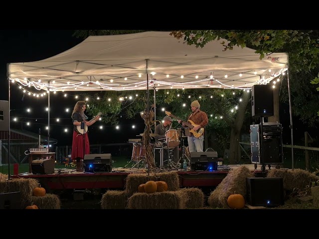 Upstream Drifters "Have You Ever Seen the Rain" by CCR. Live at Harvest Party 10/10/2026