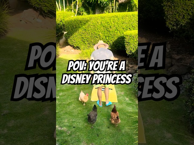 POV: You’re a Disney Princess With Chickens 😌🐔✨