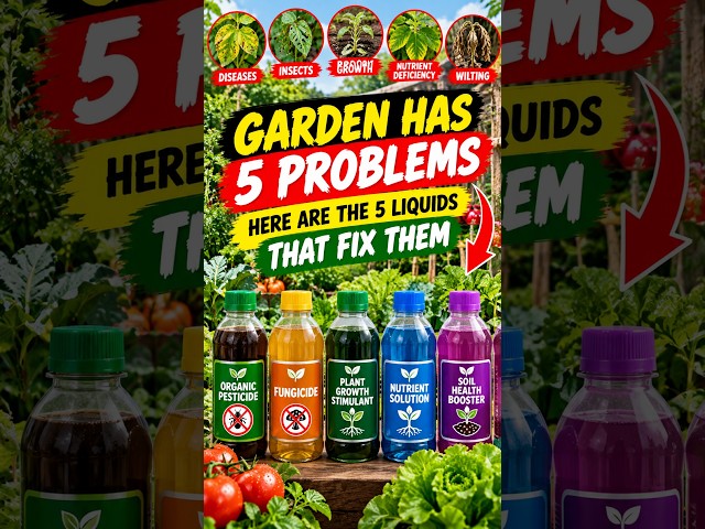 Garden Has 5 Problems  Here Are The 5 Liquids That Fix Them