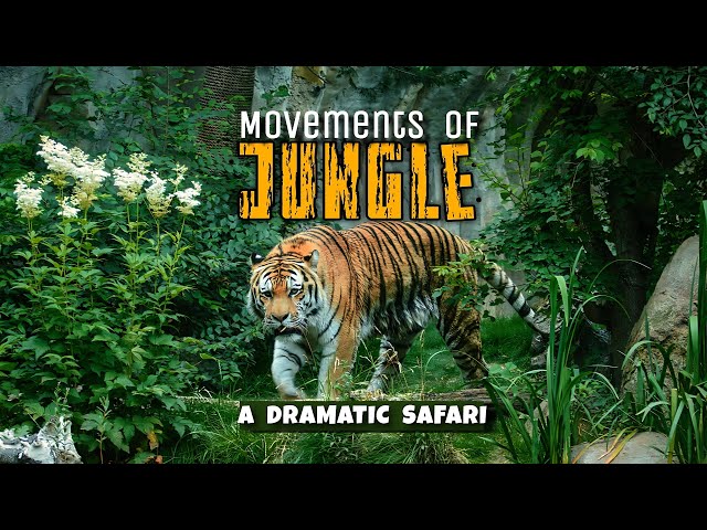 The Paradox: Ultimate Wildlife Safari at Pench Tiger Reserve 🐾