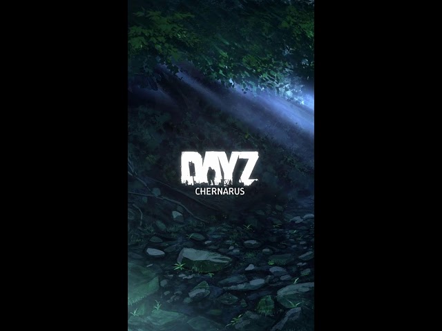 SOLO Nasdara Gas Zones and Bunkers - DayZ 1440p (Portrait)