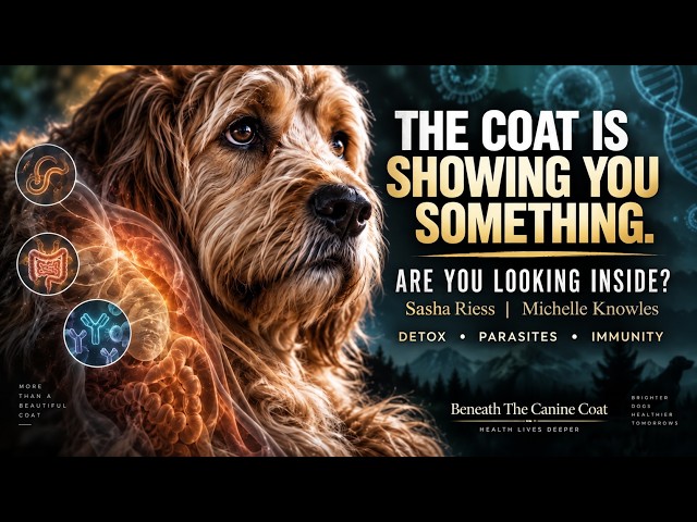 Before You Blame the Coat: Parasites, “Detox,” Vaccines & the Dog’s Immune System