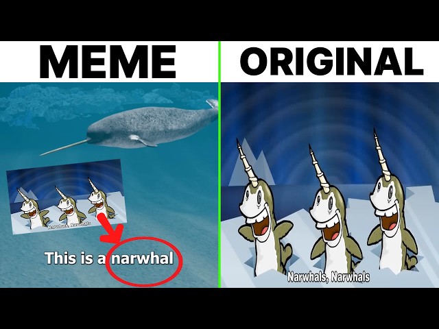 Narwhals Narwhals Song Meme vs Original