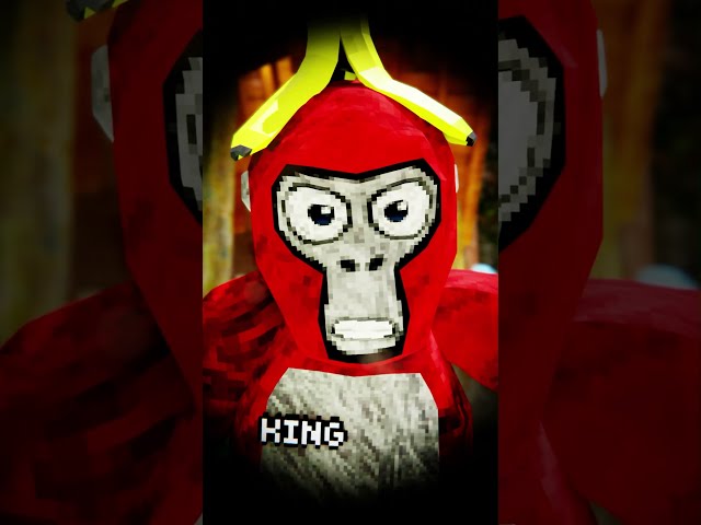Watch this video if you have EYES 👀👀#gorillatag #vr