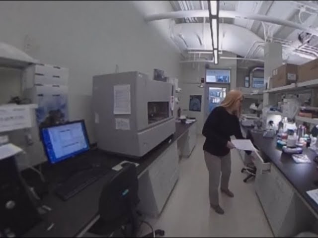 LAB 360 TOUR: MBSU (molecular biology service unit)