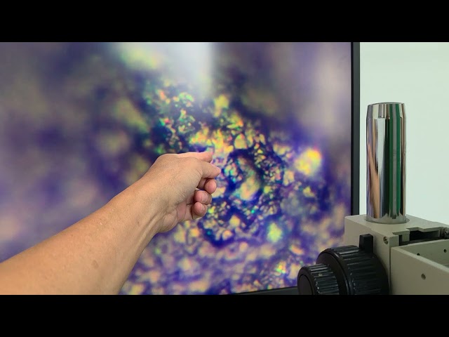 Finding Diamonds at Pohang Dinosaur Diamond Park Beach - 775 Nano Optical Microscope Results: Ana...