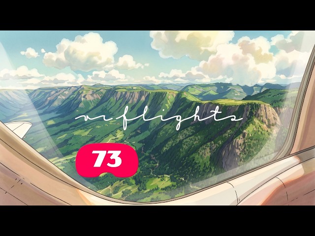 Private Charter to Curitiba, Flew in VR at 90 fps, SU 5.1.