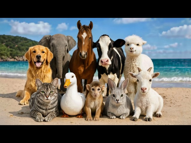 Animal Sounds World | Fun Learning for Kids 🐱🐶🐘