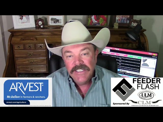 Feeder Flash 10/20:  Calf and Feeder Demand Strong