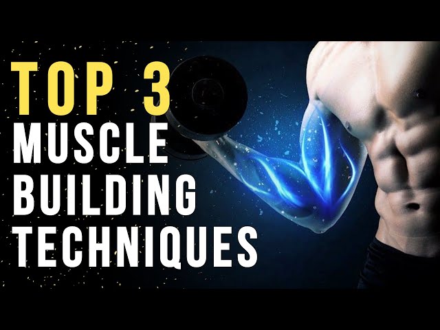 The Top 3 Muscle Building Factors