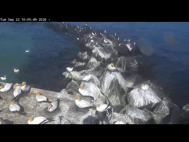 Pope's Eye Above Water Camera