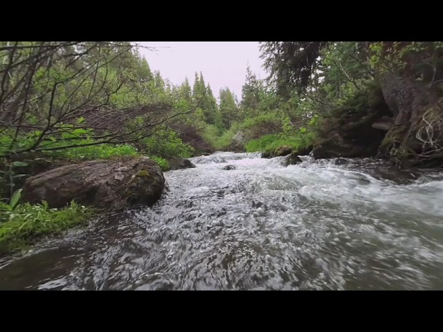 Nature Escape Rocky Mountain Stream VR180 VR 180 Virtual Reality Zen Colorado Rockies   18jun20 0345