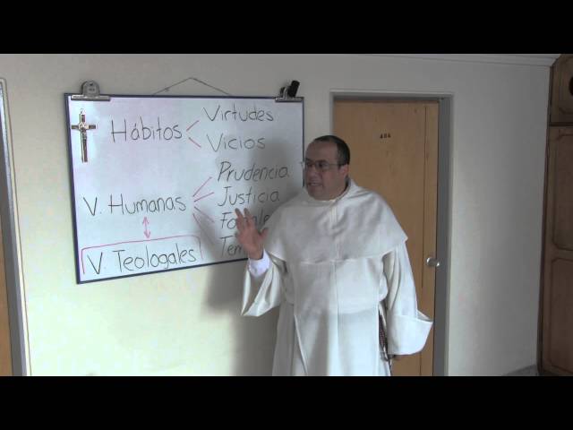 Formation in Human Virtues, 2 of 4: Structure of the Human Dimension