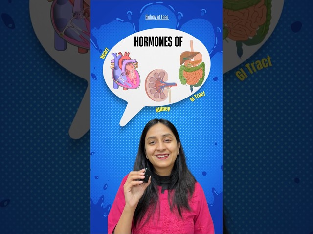 Hormones of Heart, Kidney & GI tract | Non-endocrine tissues #neet #biology #class11 #shorts #study
