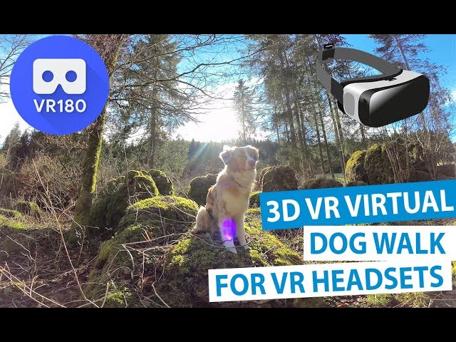3D Virtual Dog Walk with Miley for Oculus Quest & other VR Headsets (VR180 Video 5.7K)