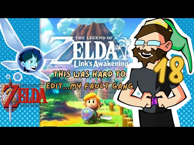 OKAY....Absolutely NOT(Re-dubbed) - Legend Of Zelda Links Awakening