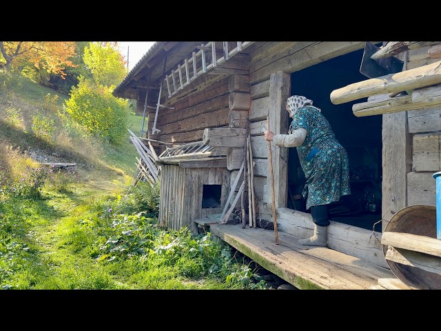 87 Years Old, Living Alone in the Carpathian Mountains | A Day with Maria