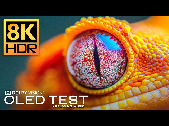 Ultimate 8K Video OLED Test Display | Real 8K HDR 120FPS Dolby Vision | 4K Video ULTRA HD TV