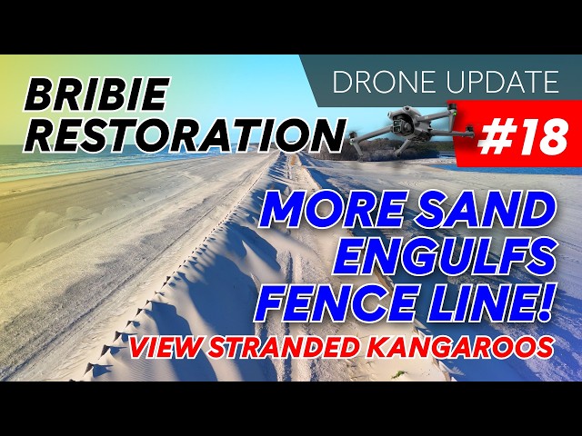 UPDATE 18 - Strong winds bury the fence line under moving sand