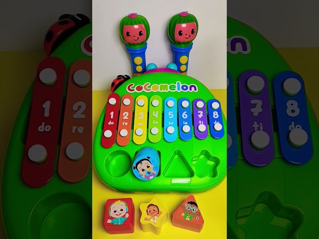Amazing Cocomelon Learning Shape Sorter Xylophone