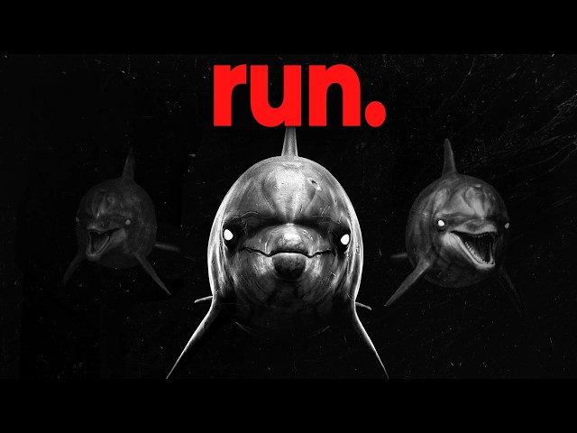 Why Apex Predators are Still Afraid of Dolphins