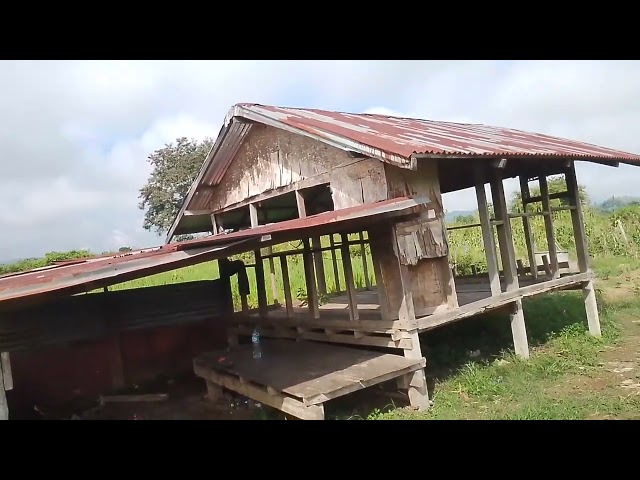 Kwv Txhiaj nkauj nraug nyob kev deb. 