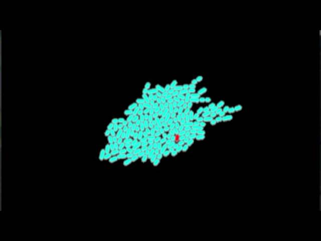 Pattern Formation in Distributed System