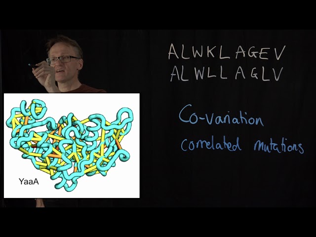 Lecture 11, concept 25: Co-evolution (correlated mutations) improves ab initio prediction