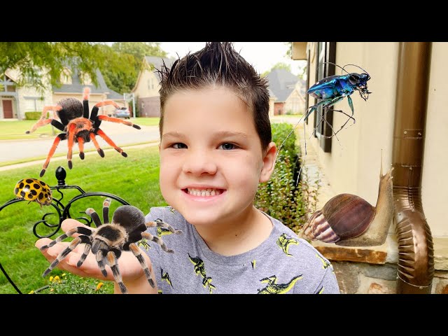 MORNING BUG HUNT BEFORE SCHOOL ROUTINE! Caleb and Mommy Find Spiders, Worms, BUGS in BACKYARD!