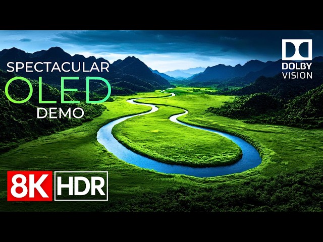 Spectacular OLED Showcase | 8K HDR 60fps Dolby Vision™ (4K/8K TV)