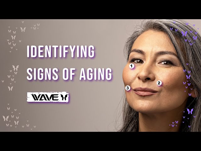 What Are The Characteristics Of Aging Process?  | Aging Process