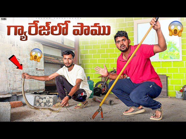 Garage లోకి Snake వచ్చింది 🔥🔥 Telugu Experiments Vlogs