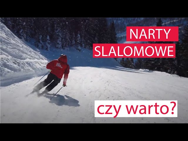 Slalom skis under the microscope - riding experience, construction and purpose.