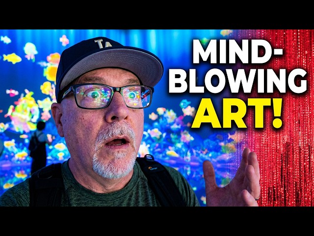 TeamLab 360: Interactive Art Like You've Never Seen