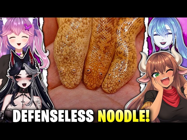 Why Do They Even EXSIST?! | Vtubers React to Moreparz Snakes