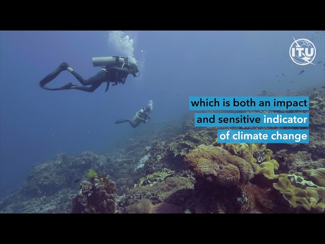 How space technologies help us understand the oceans