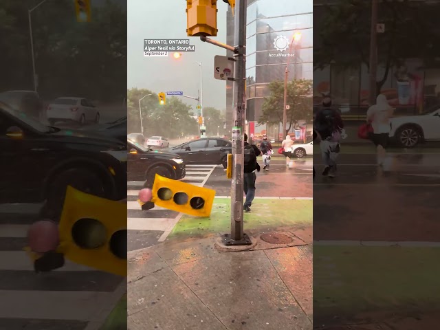 Gone With the Wind... Literally