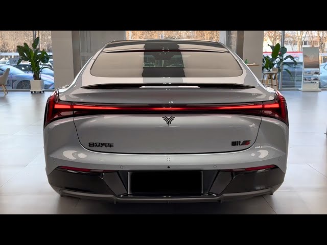 2024 Neta S in-depth Walkaround