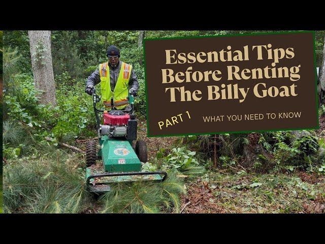 Watch This Before Renting The Billy Goat! | Forestry Brush Hog- Part 1