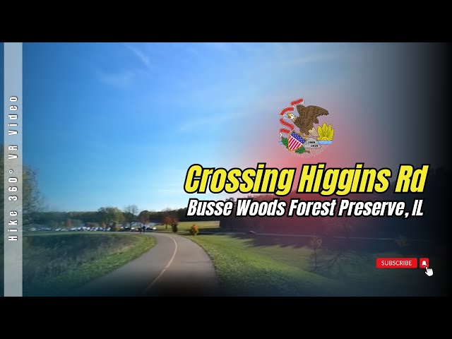 Busse Woods Forest Preserve, IL - Crossing Higgins Rd (Hike 360° VR Video)
