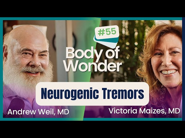 Body of Wonder: Neurogenic Tremors for Trauma Release with David Berceli, PhD