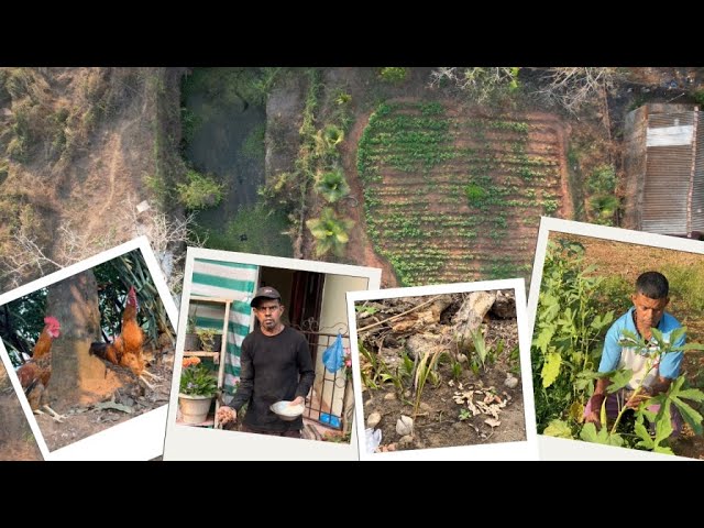 Integrated Farming - Caridade Cabral from Curtorim, Goa