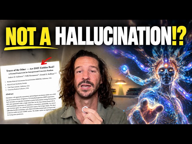 Scientists Say They Can Prove DMT Entities Are Real (REMARKABLE New Paper)