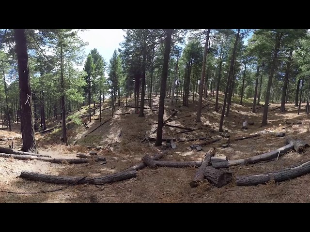 UA's Critical Zone Observatory
