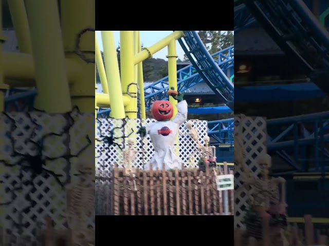 Furry Friends, Frightful Fun & Fall Memories!