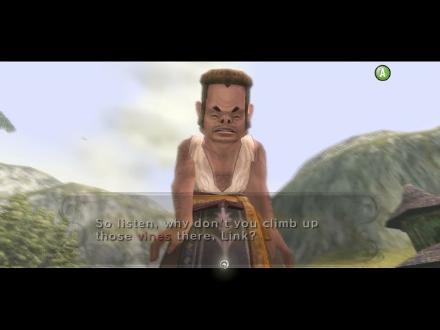 The Legend of Zelda Twilight Princess (GameCube) Widescreen