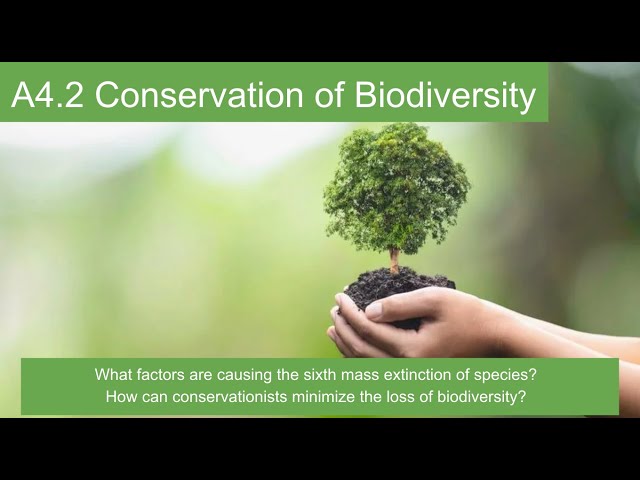 A4.2 Conservation of Biodiversity -- IB Biology New Curriculum