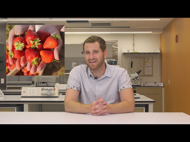 NIH SciBites: Uncovering Americans’ Attitudes Toward Healthy Food